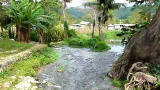 Roaring River Head in Westmoreland Petersfield Jamaica [upl. by Chaney]