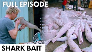 Gordon Ramsay Shark Bait  FULL EPISODE [upl. by Nnairac818]