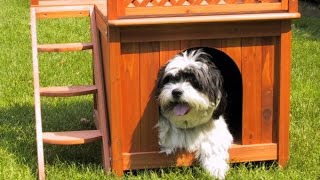 Grandes ideias para casinhas de cachorro  dog house [upl. by Sascha]