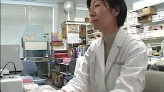 ScienceNews （１４）女性研究者シリーズ 「香り」の科学を届けたい [upl. by Llerrod]