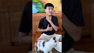 Cat saves owner 👍🐈 cat kitten smartcat pets shorts foryou [upl. by Lrak797]