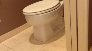 Powerful Kohler toilet flush on a flushometer [upl. by Colwell59]