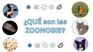 ¿Qué son las zoonosis [upl. by Fagin]