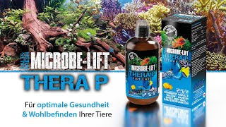 Für gesunde amp vitale Fische im Aquarium  𝐌𝐈𝐂𝐑𝐎𝐁𝐄𝐋𝐈𝐅𝐓 𝐓𝐡𝐞𝐫𝐚 𝐏  Bakterien  100  biologisch [upl. by Nallaf]