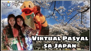 Japan Tourist Spots and Festival Matsuri Compilation  V016 [upl. by Eisset]