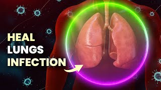 880 Hz Lung Healing Frequency Music to Detox Lung amp Clear Mucus [upl. by Zacharie]