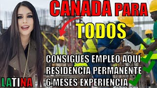 INMIGRANTES podrán VIAJAR GRATIS a CANADÁ trabajando en ESTO🍁NUEVO programa DE INMIGRACIÓN [upl. by Naul]