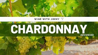 Key Grape Varieties Chardonnay Advanced Version for WSET L3 and 4 [upl. by Ricoriki384]