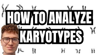 KARYOTYPE ANALYSIS [upl. by Arihday]