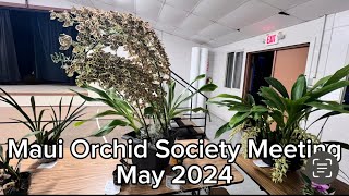 Maui Orchid Society May 2024 ‘Show and Tell’ [upl. by Assyl]