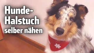 DIY Hundehalstuch selber nähen [upl. by Rollo]