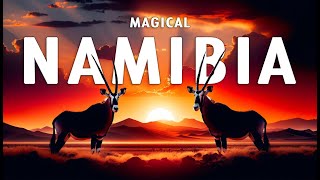 MAGICAL NAMIBIA  The Amazing Wildlife of Namibia Full Documentary [upl. by Akcirret867]