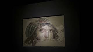 Zeugma Mosaics Museum 202406 [upl. by Camilia]