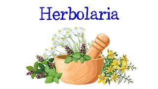 🌿¿Qué es la Herbolaria🌿 Fácil y Rápido  BIOLOGÍA [upl. by Courtnay260]