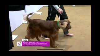 Ava’s Finals round run at the 2021 AKC National Agility Championship 032821 [upl. by Mary]