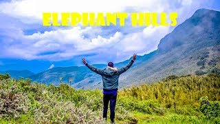 CLIMBING ELEPHANT HILLS  Aberdare Ranges  HIKING TIPS  Camping Travel Vlog [upl. by Shaylynn]