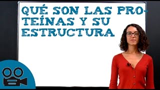 La estructura de las proteínas y su definición [upl. by Ffilc]