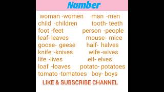 singular and plural number examples English grammar topics [upl. by Bicknell]