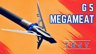 G5 MEGAMEAT 100 gr Broadhead Test [upl. by Angadresma]