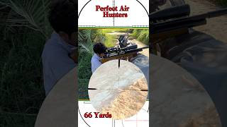 Air Gun Hunting  Airgun Pest Control  airgunhunting [upl. by Osyth]