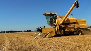 New Holland Clayson 8060 Combine  Loonbedrijf RJ Wardenier [upl. by Laflam165]