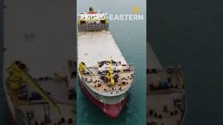 TOP MERCHANT SHIPPING COMPANIES TO JOIN 🚢 youtube youtubeshorts ship viralvideo [upl. by Yannodrahc661]