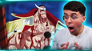 WHITEBEARD DESTROYS AKAINU One Piece 484 Reaction [upl. by Chiquia914]