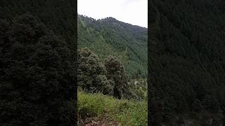 MashaAllah ❤️ viralvideo nature fypシ゚viral explore [upl. by Elenaj]