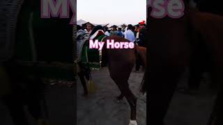 my horse 🐎  viral video  YouTube videos  trending shorts [upl. by Ahseyk]