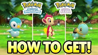 How to find Chingling in Pokemon Diamond and Pearl [upl. by Grimona]