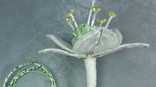 Амазонская лилия из бисера Урок 5  Сборка цветка  Beaded amazon lily Lesson 5  Flower assemly [upl. by Sutsugua888]