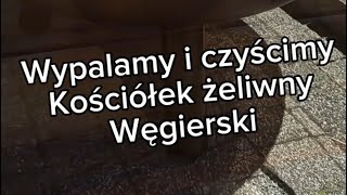 Czyszczenie i wypalanie kociołka żeliwnego węgierskiego Krok po kroku jak to zrobić [upl. by Dearden]