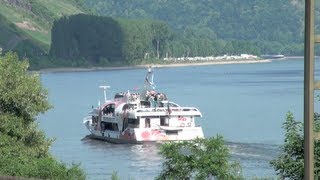 Entspannungsvideo mit Rheinschiffen und Vogelgesang gegenüber Filsen am Rhein Teil 01 von 02 [upl. by Euv]