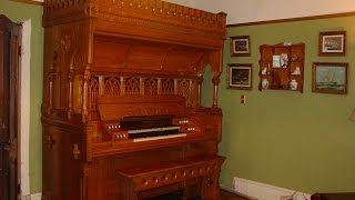 1891 Mason amp Risch Vocalion Reed Organ 721 Stopbystop Demo [upl. by Rednav305]