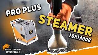 New Pro Plus Steamer Upholstary Tool 😁👍 Steam cleaning industry is the future [upl. by Leonardi]