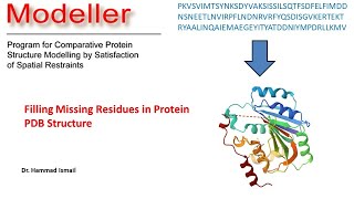 Missing Residue Filling Protein PDB  Modeller  Homology Modelling  Bioinformatics  Urdu  Hindi [upl. by Lathrop]