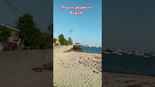 Provincetown in August 2024 [upl. by Ostap]