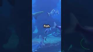 Mind Blowing Facts Sharks shorts animals funfacts informative [upl. by Rob]