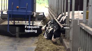 DeLaval Optimat™ Automated Feeding System [upl. by Penney]