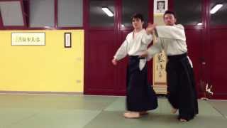 Aikido Kobayashi Hirokazu AASCB  KAESHI WAZA 11 Techniques Sequence [upl. by Neva]