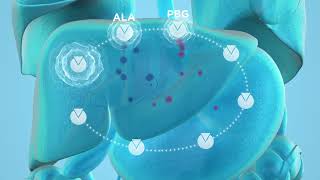 Pathophysiology of Acute Hepatic Porphyria AHP [upl. by Tolecnal]