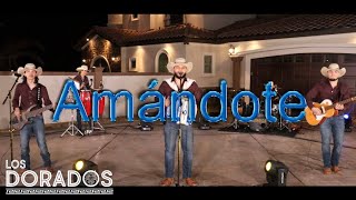 Los Dorados  Amándote En Vivo [upl. by Ramahs]