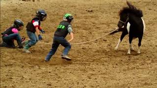 Wild Pony Races  Fort Dodge IA [upl. by Ellinet]