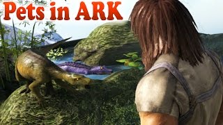 😍 ARK THE BEST PETS IN THE ECO TERRARIUM MOD Ark Survival Evolved Modded Gameplay [upl. by Aileve]