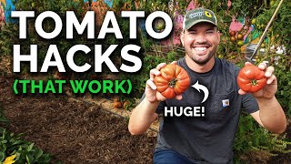 9 Tomato Growing Tips That Actually Work [upl. by Ecinwahs57]