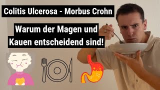 Wie der Magen unsere CED beeinflusst Colitis Ulcerosa Morbus Crohn Reizdarm [upl. by Serrano972]