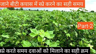 बीटी कपास में स्प्रे करते समय कौनसी बातों का ध्यान रखेंWhat things should be kept in mind bt cotton [upl. by Itagaki877]