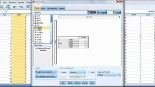 Tabela de Contingência no SPSS 18 [upl. by Ellimak703]