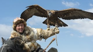 Il dresse un aigle pour chasser à sa place  ZAPPING NOMADE [upl. by Ilrahs]