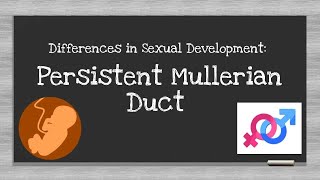 Persistent Mullerian Duct Differences in Sexual Development [upl. by Jacintha87]